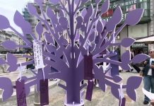 A Mobile Memory Clinic: Raising Alzheimer’s Awareness in Trieste