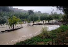 Severe Flooding in Muggia Triggers Evacuations and Road Closures