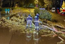 Fierce Winds Batter Trieste, Firefighters Respond to Over 100 Calls for Help