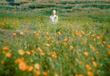 Venice Film Festival’s Critics’ Week Comes to Gorizia and Trieste