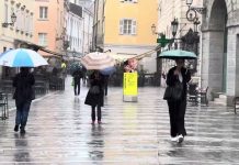 Trieste Prepares for Severe Weather: Public Gardens to Close Starting Tomorrow