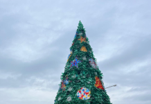 Muggia Unveils Eco-Friendly Christmas Tree Made from Recycled Materials