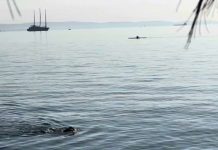 In Friuli Venezia Giulia, a November Summer Signals Climate Change’s Grip