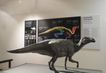 Discover the Dinosaurs of Villaggio del Pescatore in Trieste