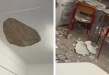 Incident at Trieste School Classroom Promptly Addressed by Local Authorities