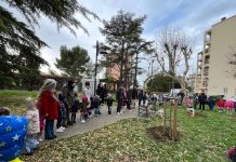 Trieste Celebrates National Tree Day with Planting Ceremony in Piazzale Rosmini Garden