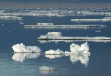 Antarctica’s Hidden Role in Climate Regulation: Scientists Launch Ambitious Study
