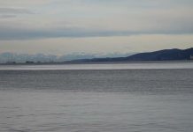 Trieste Embraces the Bora as Locals and Tourists Venture Out