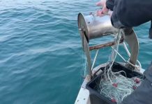 Massive Illegal Fishing Net Discovered in Gulf of Trieste
