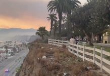 Wildfires Ravage Los Angeles County as Californians in Trieste Share Their Heartbreak