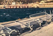 Trieste Shuts Public Gardens Amid Severe Weather Forecast