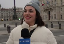 Trieste Locals Share Plans for the Last Weekend of January