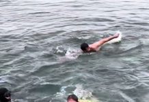 Faith and Frost: Epiphany Cross-Diving Tradition Thrives in Trieste