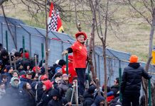 Ferrari Fan Faces Fine After Cutting Down Tree for Better View