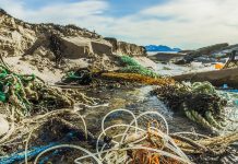 Marine Litter Along European Coasts Declines by Nearly One-Third