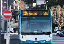 Trieste Expands Bus Service to Barcola, Adjusting Routes and Schedules