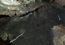 Trieste’s Lega Navale Hosts Event on Maritime Culture and Speleology