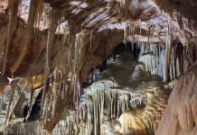 A New Underground Secret: Discovery of Leptodirus at the Voragine dei Corvi