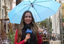 Rain or Shine, Trieste Finds Its Weekend Rhythm