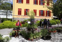 In Trieste, Spring Blooms at Horti Tergestini