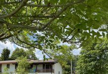 Friuli’s Monte Prât Hosts Scenic Food and Wine Walk with a Sustainable Twist