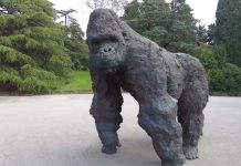 Restoring Miramare: A 19th-Century Vision Reborn in Trieste’s Historic Park