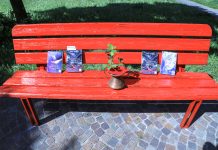 Red Benches in Trieste: A Symbol Against Gender-Based Violence