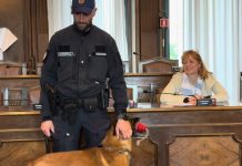 Conan Joins the Force: Trieste Unleashes New K-9 Unit to Tackle Urban Security