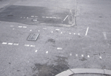 Art and Togetherness: Trieste Contemporanea Celebrates 30 Years with Dual Exhibitions