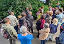 Exploring Urban Nature: Guided Walk Through San Giusto Hill and Rimembranza Park