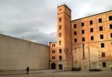 Trieste to Mark Holocaust Remembrance Day 2026 With Citywide Ceremonies