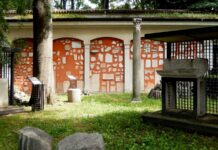 Trieste Museums Announce New Educational Programs