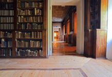 Trieste Library Requests Return of Borrowed Books Ahead of Renovation Work