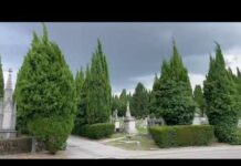 Trieste Marks 200 Years of Sant’Anna Monumental Cemetery