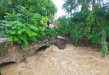 Heavy Rain Triggers Flooding in Muggia, Authorities on Alert