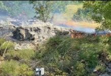 Wildfire Contained Near San Giovanni di Duino Despite Strong Winds