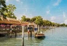 In Staranzano, Centuries-Old Traditions Return With Grapes, Boats and Bicycles
