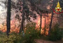 Wildfire Contained on Slopes of the Rocca in Monfalcone