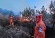Friuli Venezia Giulia Team Returns From Wildfire Mission in Campania