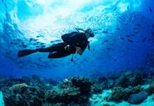 In Trieste, a Chance to Learn the Basics of Diving