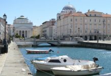 Youth and Innovation Take Center Stage at FVG Young Festival in Trieste