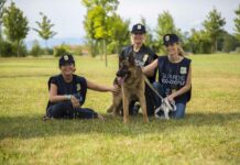 Trieste Opens Training Program for Volunteer Animal Protection Officers