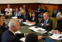 Italy Secures New Investment for Trieste Semiconductor Plant