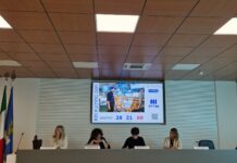 FVG Eyes Broader Apprenticeships to Link Schools and Jobs