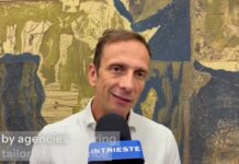 Friuli Venezia Giulia Launches Web App to Streamline Business Incentives