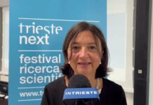 Trieste Prepares for Trieste Next 2025, a Global Festival of Science and Innovation