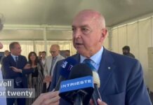 In Trieste, a Hydrogen Hub Rises on the Ruins of Heavy Industry