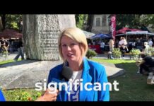 Gorizia Food & Wine Fest Set to Draw 600,000 Visitors Across Borders