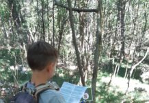 Exploring the Karst: A Family Geocaching Adventure in Aurisina