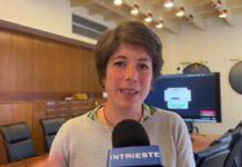 Environmental Concerns Raised Over Tree Removal in Grignano